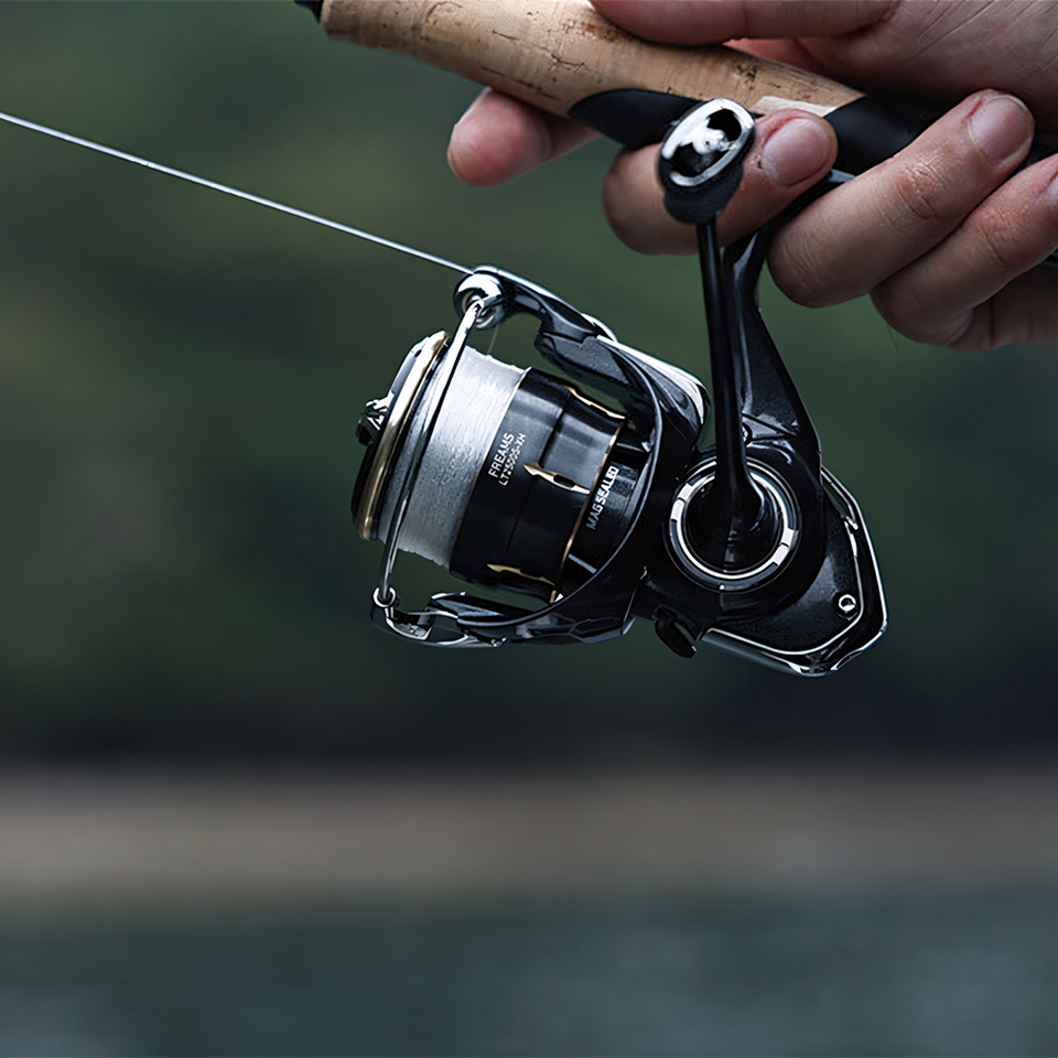بكرة صيد دايوا 2026 فريمز، بكر - مراجعة Shimano Reel Stradic وسعره
